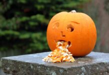 Bulantı-Kusma Hemşirelik Girişimleri