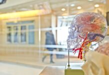 Nörolojik Bozukluklar ve Hemşirelik Girişimleri