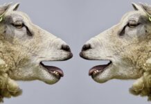 İletişimde Bozulma Tanısı