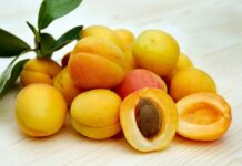 Kabızlık Riski Tanısı