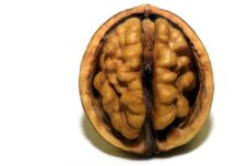 Bellekte Bozulma Hemşirelik Bakım Planı ve Girişimleri Bellekte Bozulma Hemşirelik Bakımı